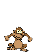 Voici un petit singe!Celui-ci ressemble à ma petite soeur!!!