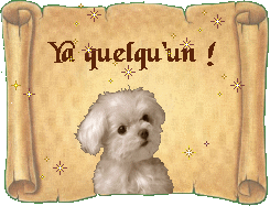 Y a quelqu'un?