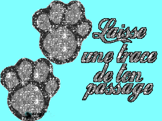 laisse quelque chose!