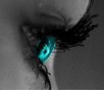 mon petit blog